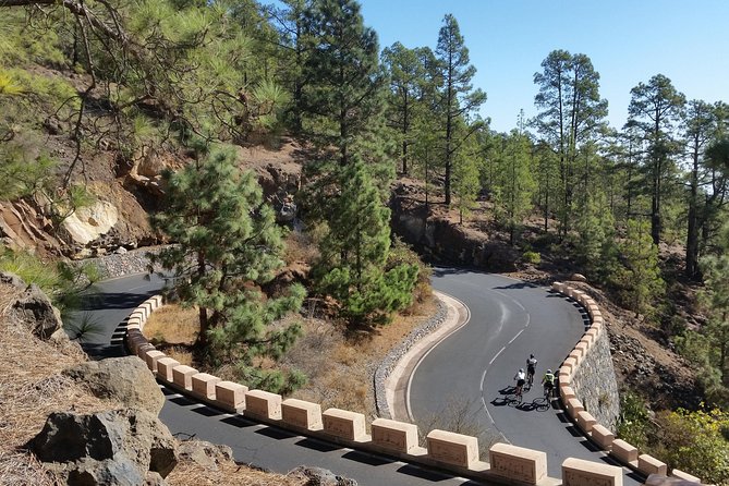 Road Cycling Tenerife - Teide Route - Your carbon bike day: what is included and what you still need