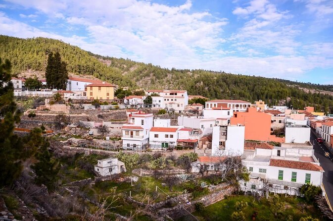 Road Cycling Tenerife - Vilaflor Route - Key Highlights You’ll Care About