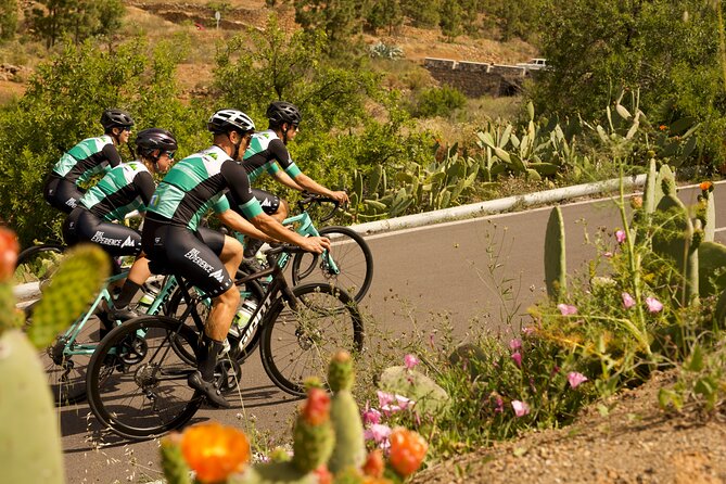 Road Cycling Tenerife - Vilaflor Route - Vilaflor Turns the Island into a Road-Cycling Workout