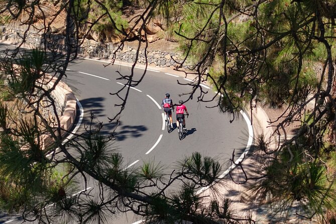 Road Cycling Tenerife - Vilaflor Route - Who Should Book This Tenerife Cycling Route?