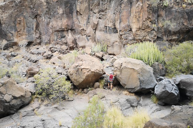 Rock climbing in natural space. - Meeting Point, 9:00 AM Start, and How the Timing Flows