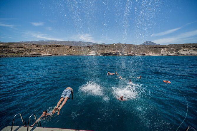Royal Delfin 3H Dolphin & Whale Watching! Swimming & Lunch! - Price and value at around $60 per person, what feels fair
