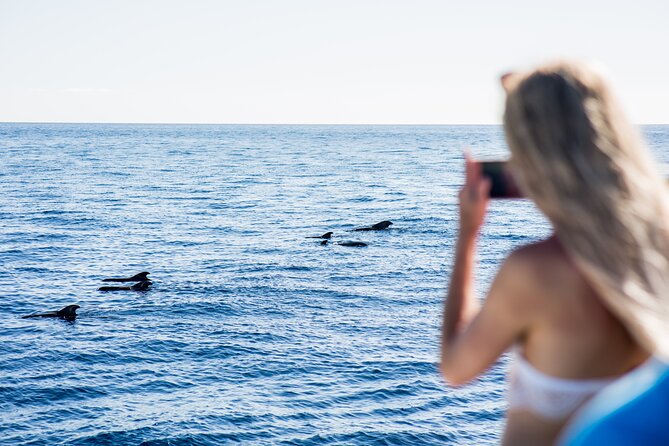 Royal Dolphin Whale watching excursion - Price and value: What your money buys (2 hours vs 3 hours)