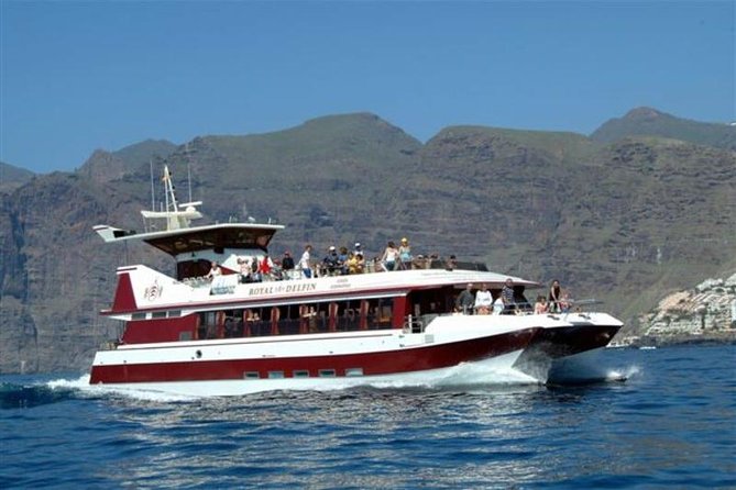 Royal Dolphin Whale watching excursion - Puerto Colón stop: What it means for your day