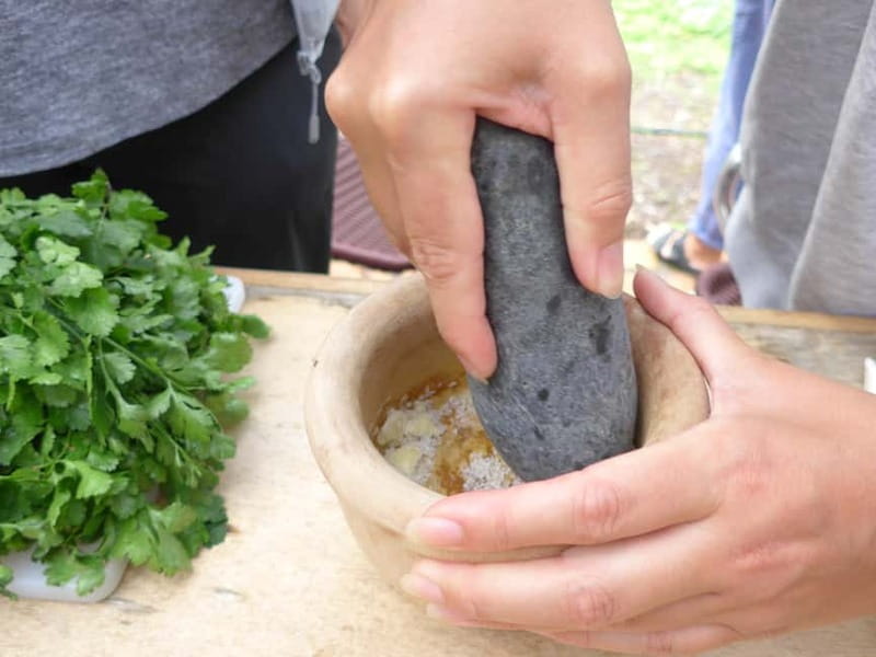 Rural Life Experience: Mojo Workshop and botanical Walk - Key highlights you will feel right away