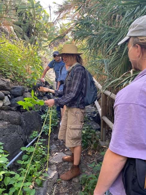 Rural Life Experience: Mojo Workshop and botanical Walk - From fields to mortar and stone: making mojo the traditional way