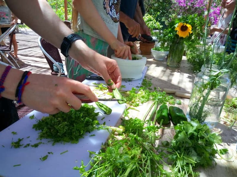 Rural Life Experience: Mojo Workshop and botanical Walk - What makes the small group matter (and not just as a marketing line)
