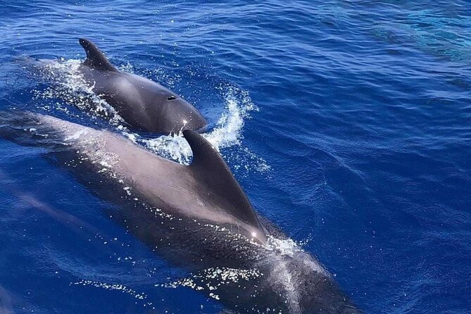 Sailing Yacht on a Private Charter - Who should book this Tenerife private yacht charter