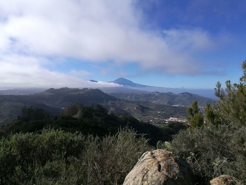 Santa Cruz de Tenerife: 2-Hour Hiking Tour in Anaga Forest - Key Highlights You’ll Feel Right Away