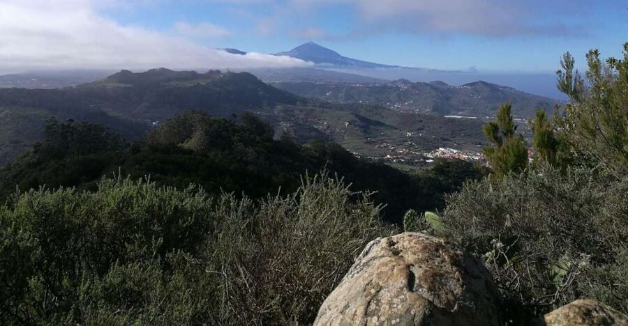 Santa Cruz de Tenerife: 2-Hour Hiking Tour in Anaga Forest - Why Anaga Feels Like a Separate World