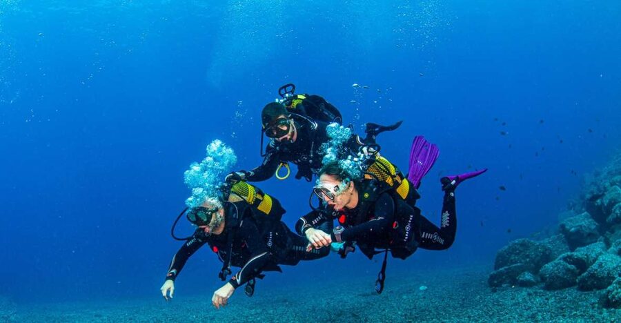 Santa Cruz de Tenerife: Advanced introductory course - Santa Cruz de Tenerife is a smart base for your first step deeper