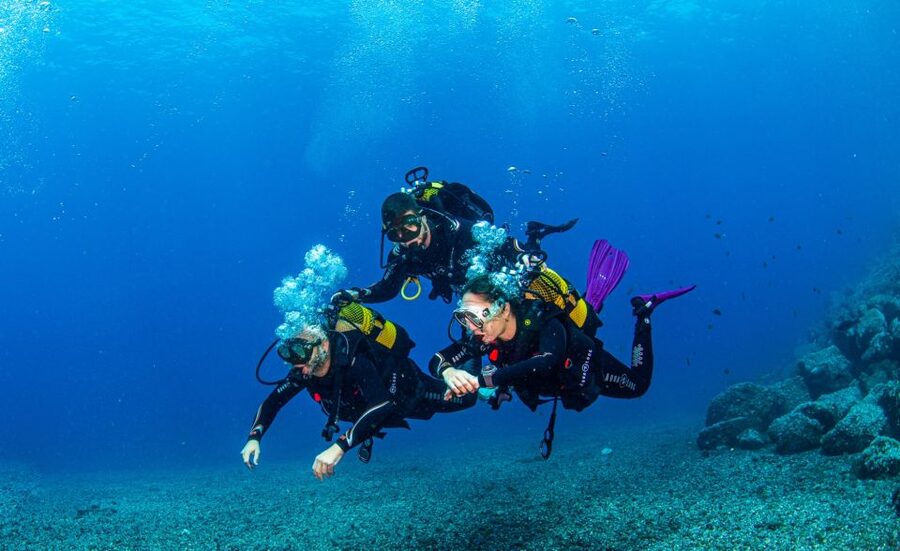 Santa Cruz de Tenerife: Advanced introductory course - Underwater life you can realistically enjoy around Tenerife
