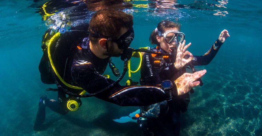 Santa Cruz de Tenerife: Beginner's Diving & Introduction - Key highlights I’d bet on