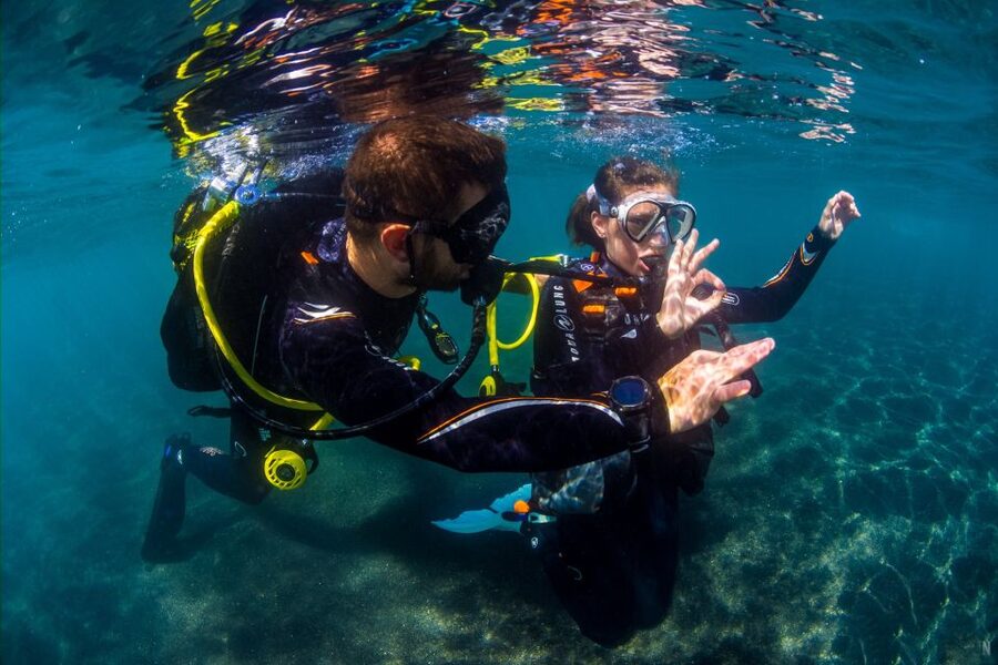 Santa Cruz de Tenerife: Beginner's Diving & Introduction - Santa Cruz try scuba at Macaronesian Divers, what you’re really buying
