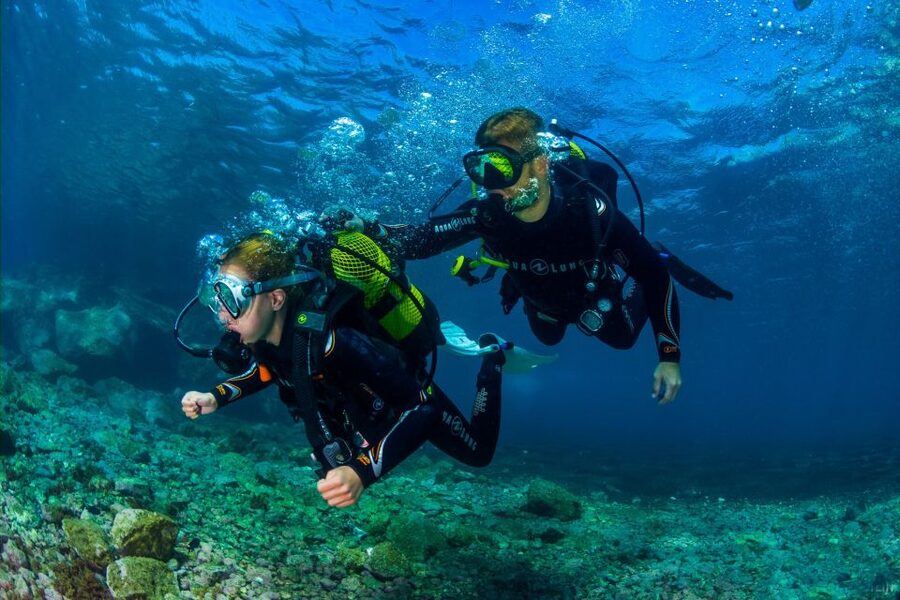 Santa Cruz de Tenerife: Beginner's Diving & Introduction - The in-water session to about 6 meters: breathing, weightlessness, and marine life