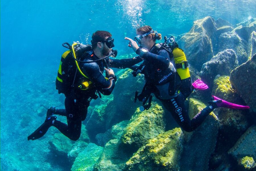 Santa Cruz de Tenerife: Beginner's Diving & Introduction - Who this is best for in Santa Cruz de Tenerife