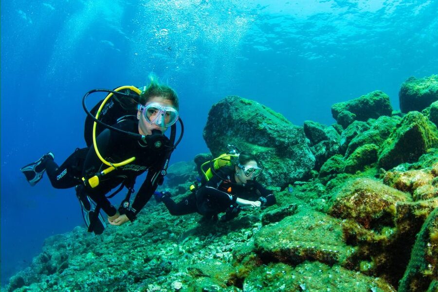 Santa Cruz de Tenerife: Beginner's Diving & Introduction - Getting set up: meeting point, gear basics, and instructor support