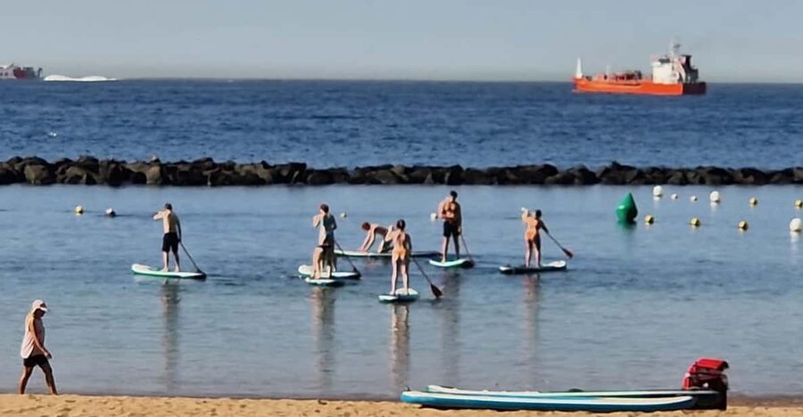 Santa Cruz de Tenerife: Las Teresitas Stand Up Paddle Course - Key Highlights You Should Care About