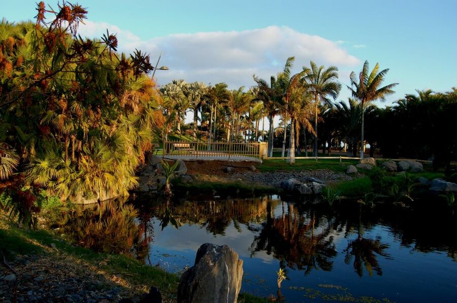 Santa Cruz de Tenerife Palmetum Entry Ticket - Santa Cruz de Tenerife Palmetum: what you’re really buying