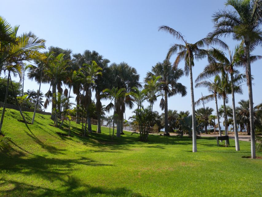 Santa Cruz de Tenerife Palmetum Entry Ticket - A practical route through the palms and water features