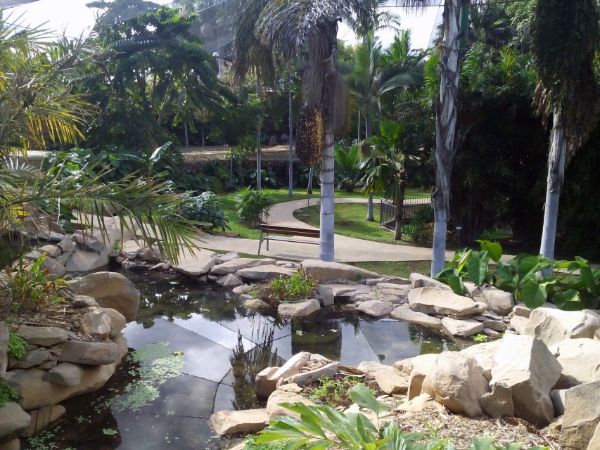 Santa Cruz de Tenerife Palmetum Entry Ticket - Who should book this Palmetum ticket?