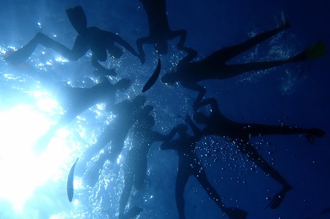 Scuba Adventure – 2 Guided Dives from Our Boat in Tenerife - Cruise First, Then Go Down: What Your Boat Ride Feels Like