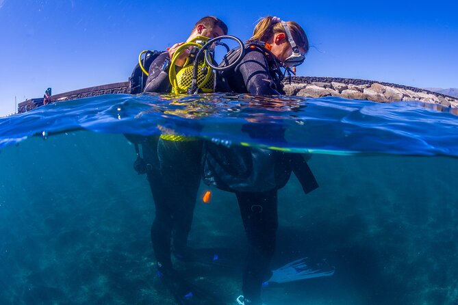 Scuba Diving Baptism Experience in Santa Cruz Tenerife - The first hour on land: learning the gear before you go under