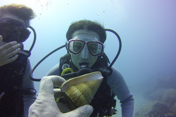 Scuba Diving Beginner's Session in Costa Adeje - Going below: up to 12 meters and about 45 minutes underwater