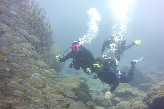 Scuba Diving Beginner's Session in Costa Adeje - Gear, photos, and small costs that pop up