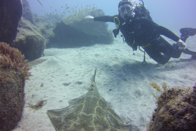 Scuba Diving Beginner's Session in Costa Adeje - Time, group size, and why the instructors feel like the product