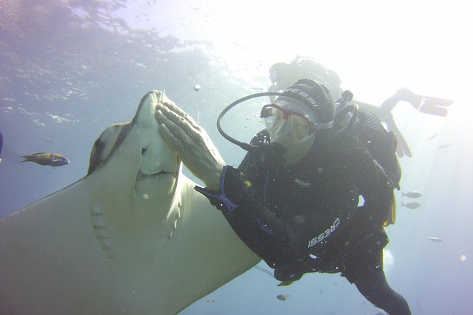 Scuba Diving Beginner's Session in Costa Adeje - Costa Adeje pickup and getting to Ocean Trek
