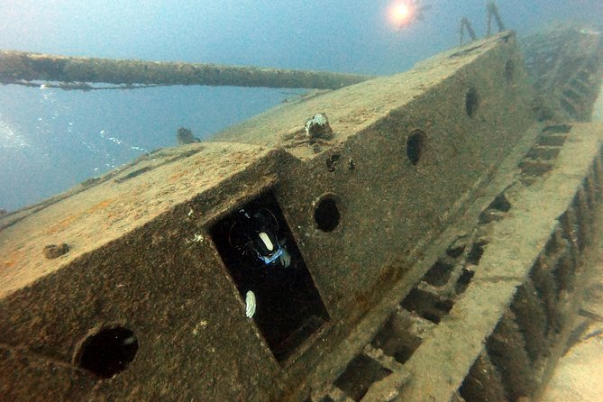 Scuba Diving for Certified Divers in Costa Adeje - Cost value at $66.37, and what to budget for