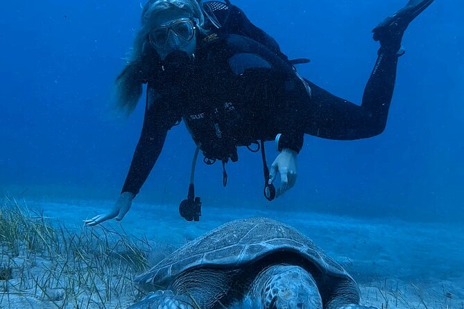Scuba Experience in Tenerife with Guide - Gear fitting and shallow-water skill practice, step by step