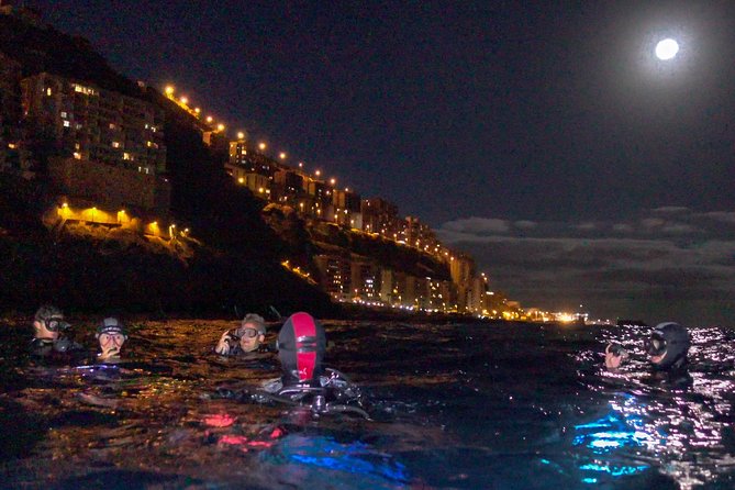 Scuba Night Dive on Tenerife - Key highlights worth planning for
