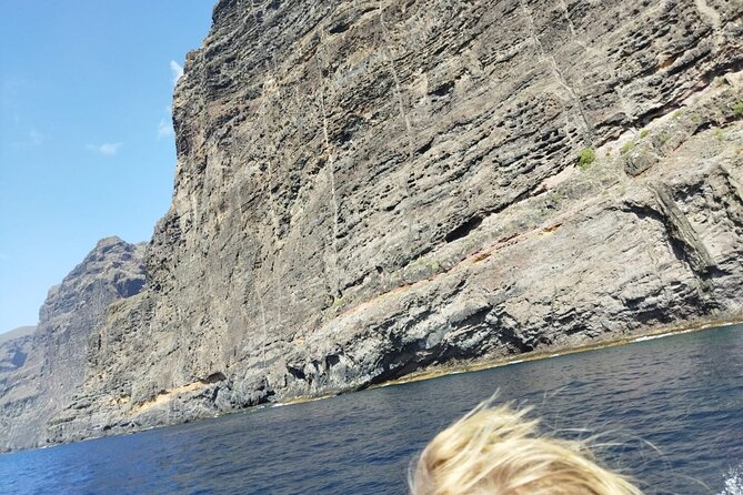 SEA SAFARI Dolphins, Whales, 3h speedboat DISCOVERY-TOUR - Snorkeling that does not feel like a chore