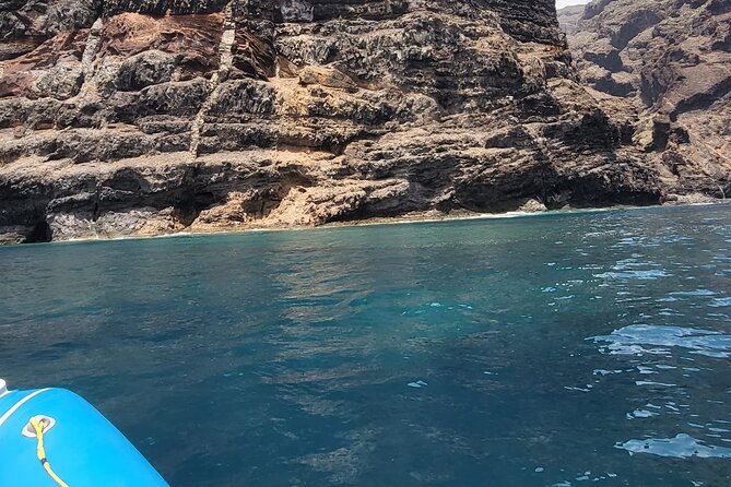 SEA SAFARI Dolphins, Whales, 3h speedboat DISCOVERY-TOUR - Motion, sea conditions, and real-world comfort