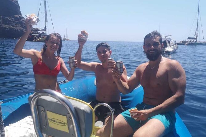 SEA SAFARI, Dolphins, Whales, snorkeling, snack and drink, 2 h speedboat - Key highlights to know before you go