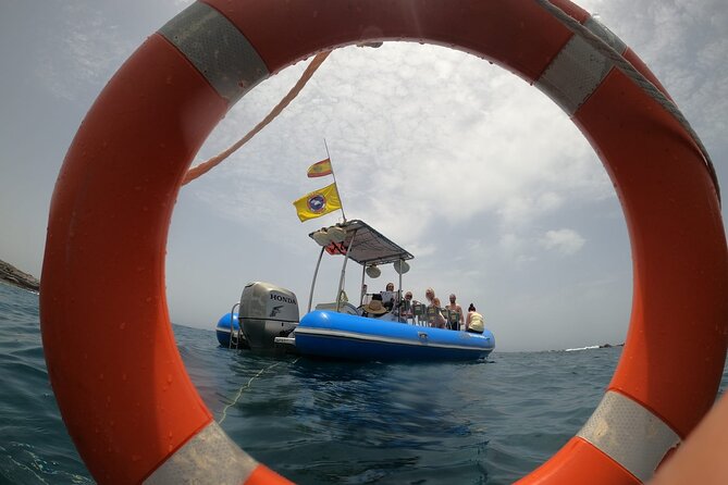 SEA SAFARI, Dolphins, Whales, snorkeling, snack and drink, 2 h speedboat - Price and Value on a 11-Person Sea Safari
