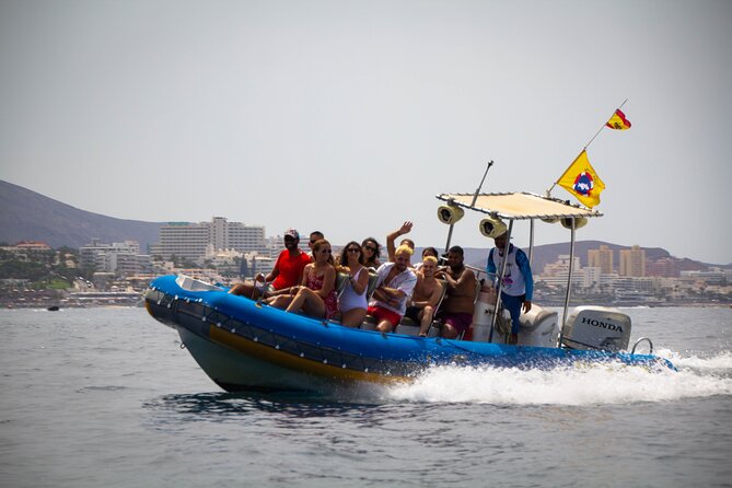 SEA SAFARI Dolphins,Whales, snorkeling, snack, drink, 3h private - Puerto Colón Departure, Then Wildlife Scouting Where You Can Actually See