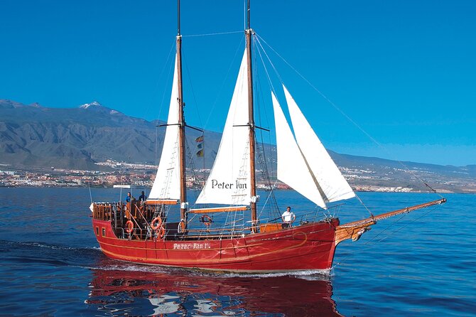 Sealife Dolphin & Whale Watching aboard Portuguese schooner - Price and Value: When It’s a Win, and When to Be Careful