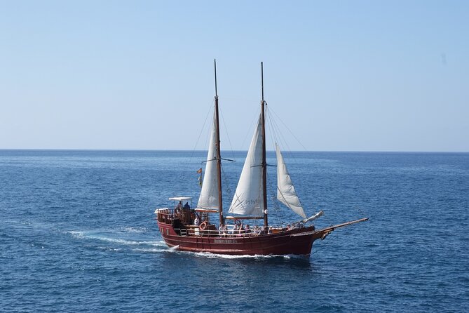 Sealife Dolphin & Whale Watching aboard Portuguese schooner - From Muelle de Pescadores to the Start Line at 10:00