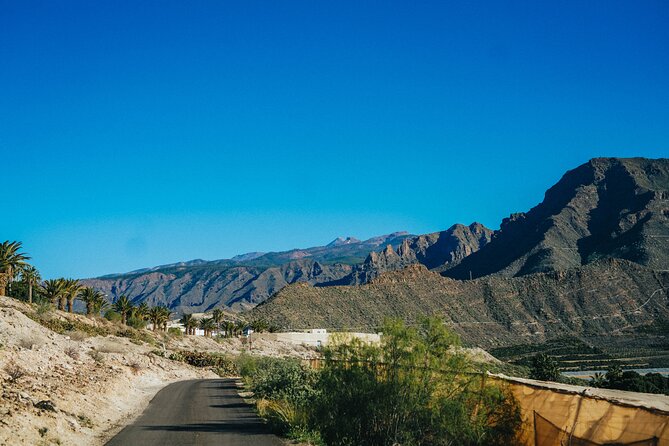 Secret Volcano Tour by Tuk Tuk in Costa Adeje - Why a tuk-tuk tour works so well in Costa Adeje