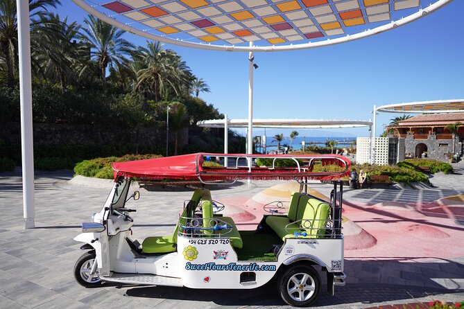 Secret Volcano Tour by Tuk Tuk in Costa Adeje - Getting to the start, and what the hour actually feels like