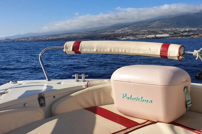 Self Drive Boat Rental in Costa Adeje Tenerife - What you get on board: snorkels, towels, Bluetooth, and a cool box plan