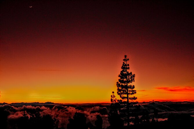 Self Drive Sunset & Stargazing in Teide National Park with Dinner - Montaña Sámara sunset: sea of clouds, lava, and a drink in hand