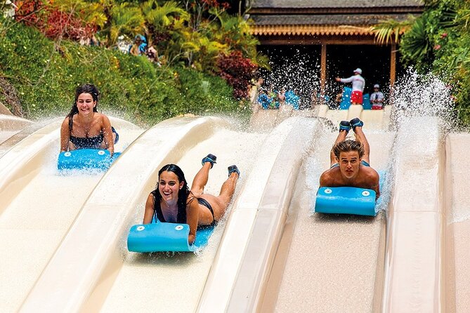 Siam Park Tenerife Entry Tickets - Tower of Power: The Slide You Plan Around