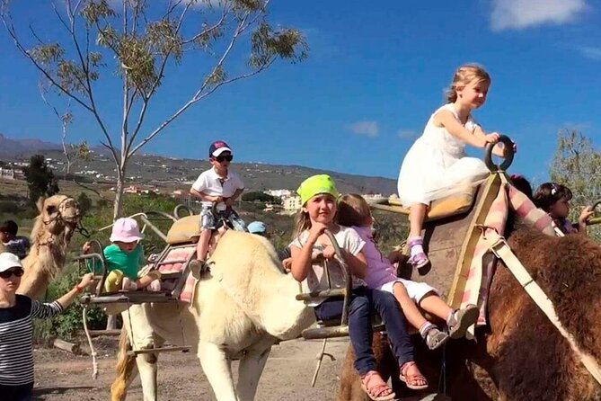 Skip the Line: Camel Park Tenerife Ticket - Where it fits in Tenerife days, and how long to plan for