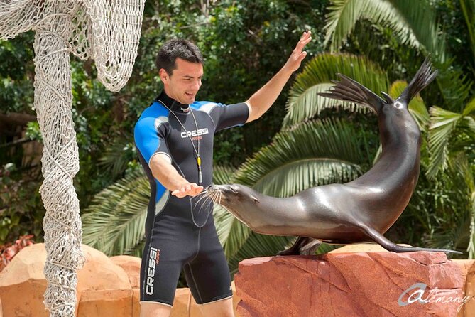Skip the Line: Jungle Park Tenerife Entrance Ticket - The Shows That Matter: Bird-of-Prey, Sea Lions, and Timing