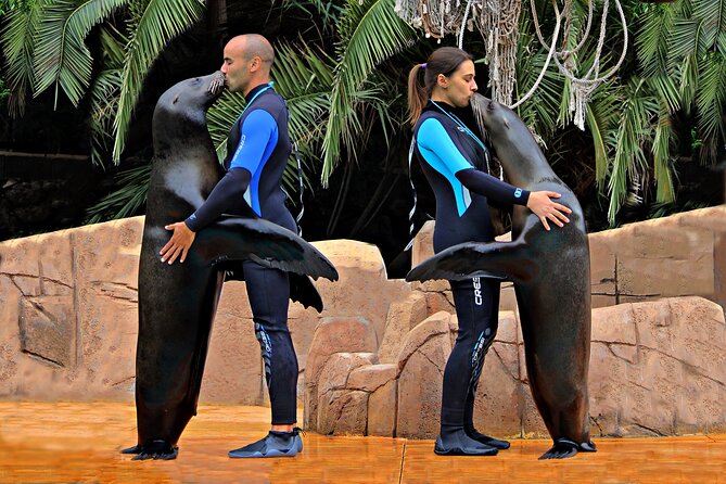 Skip the Line: Jungle Park Tenerife Entrance Ticket - Where a Full Day Fits: A Simple Way to Plan Your 6 Hours