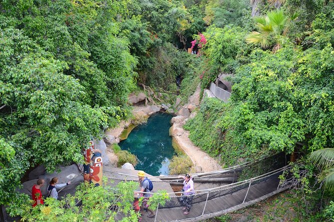 Skip the Line: Jungle Park Tenerife Entrance Ticket - What to Watch Out For: Rain, Ticket Access, and Kids’ Meals